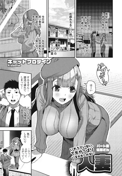 いそうでいない、でもやっぱりいるかもしれない人妻 パート妻佐藤さん